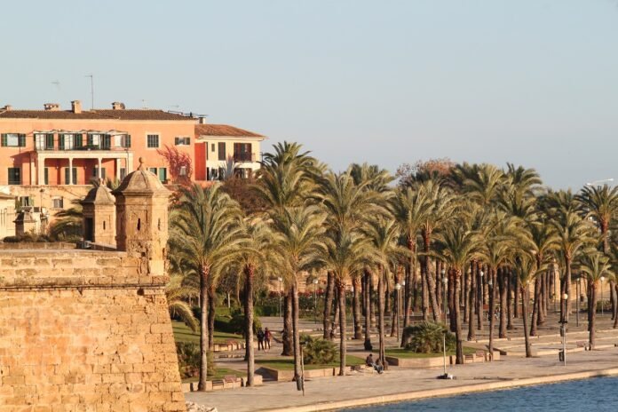 palma